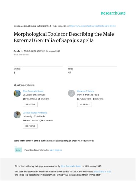 Pdf Morphological Tools For Describing The Male External Genitalia Of