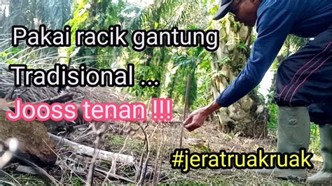 Jerat Ruak Ruak Pakai Racik Gantung Tradisional Jooss Tenan