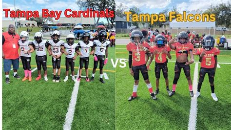 pw tampa bay cardinals  tampa falcons youtube