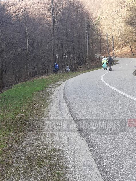 Ac Iuni De Ecologizare Pe Valea Chizb Ii Dar I N Alte Zone Din Baia