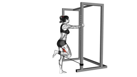 Female Band Standing Leg Curl Video Guide And Tips For Effective Exercise