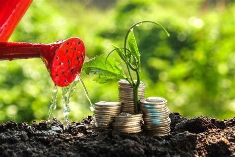 Accessing Your pension: Annuity vs Flexi-Access Drawdown - Beaufort