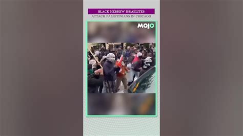 Black Israelites attack Palestinians in Chicago : r/Chiraqology