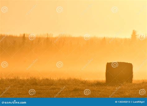 Round Hay Bale Silhouette stock image. Image of background - 130345013