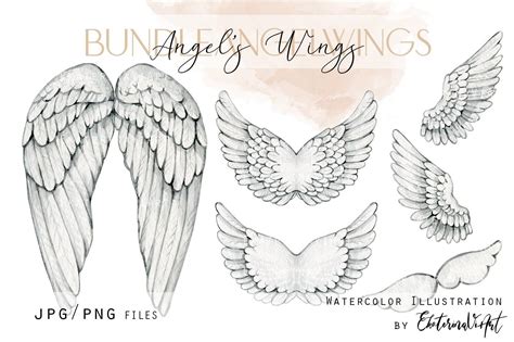 Angel Wings Clipart Graphic by EkaterinaViArt · Creative Fabrica