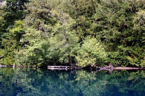 Kayaking Lake Crescent – Tales of a vanlife couple