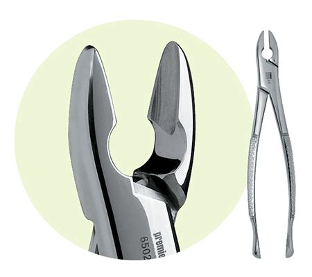 Premier Dental 99C Maxillary Forceps