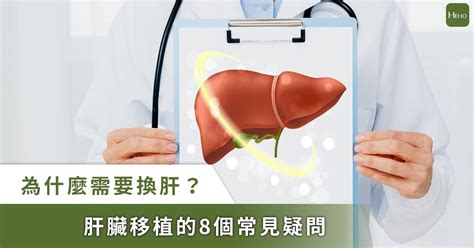 為什麼需要換肝？誰可以換肝？肝臟移植對象、照顧 8 大問題一次說明 Heho健康 Line Today