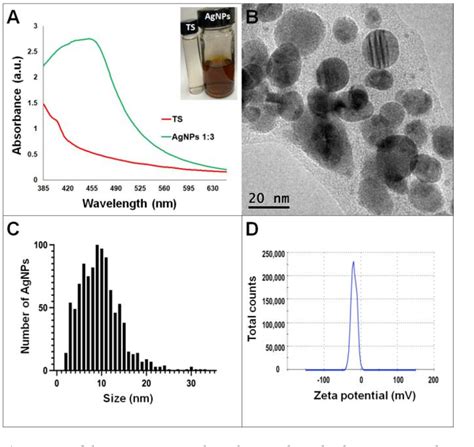 Figure 1 From Optimized Synthesis Of Small And Stable Silver