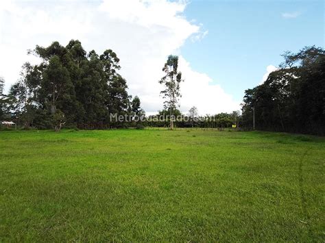 Venta De Lote O Casalote En Llanogrande Rionegro M