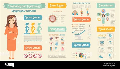 Ginecología Y Embarazo Infográfico Plantilla Elementos De La