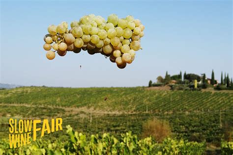 Slow Wine Fair A Bologna Torna L Universo Del Vino MangiaeBevi