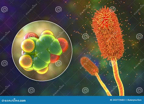 Aspergillus Clavatus Mold Fungi And Molecule Of Patulin Toxin 3D