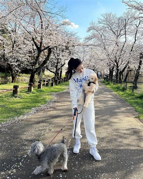 井手口瑞歩さんのインスタグラム写真 井手口瑞歩instagram 「🐾 パパがじじチャイと撮ってくれた👨🏻 地元の桜が綺麗な公園でお散歩