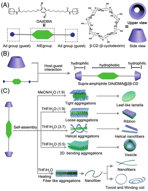 Schematic Illustration Of Constructing Diversiform Topological