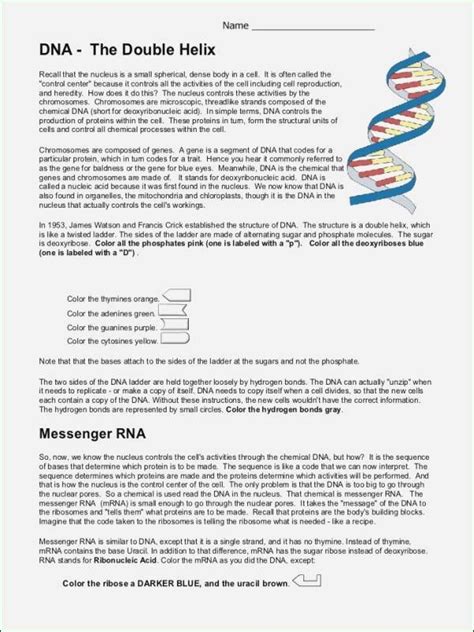 Dna Mutations Practice Worksheet Answers