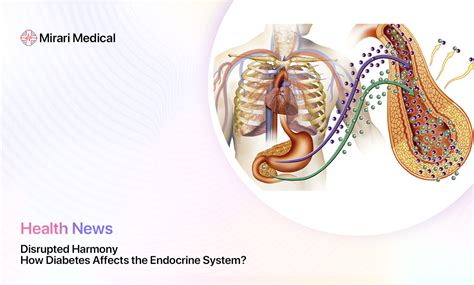 Disrupted Harmony How Diabetes Affects The Endocrine System