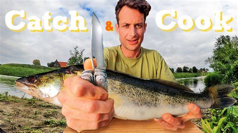 How To Catch Fillet Cook A Zander Walleye Youtube