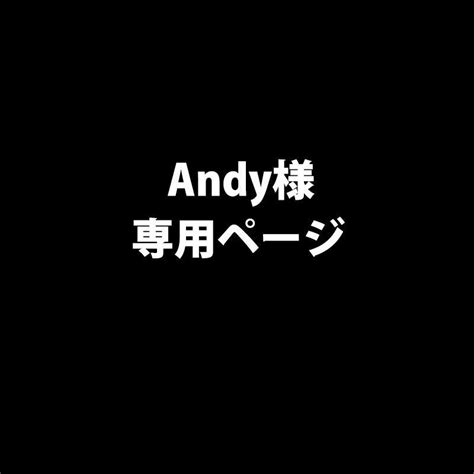 Andy様 リクエスト 3点 まとめ商品 メルカリ