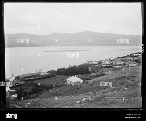 Saint Leonards Dunedin Nz Circa 1906 Dunedin By Muir And Moodie