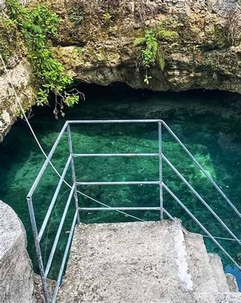 Familia De Yucat N Encuentra Un Cenote En El Terreno De Su Casa Posta