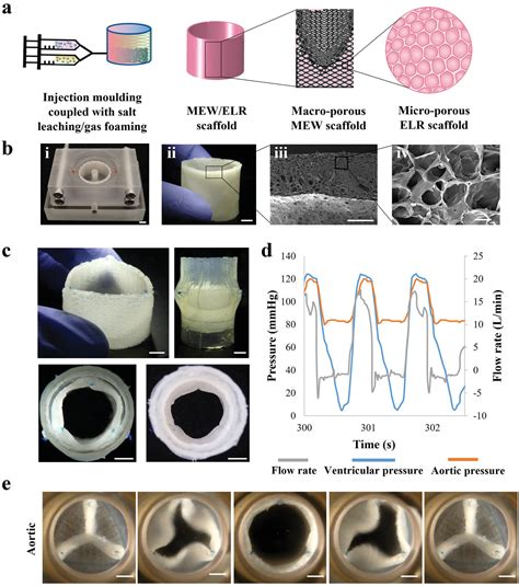 Researchers 3d Print Regenerative Heart Valves That Grow With Patients Facfox News