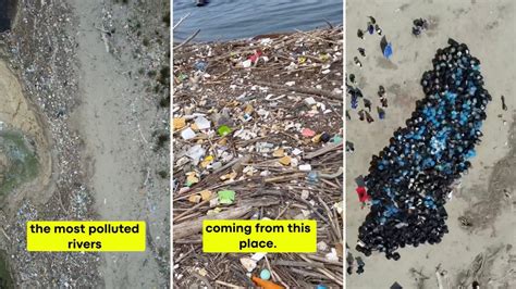 Marine biologist documents unbelievable team effort to clean up the ...