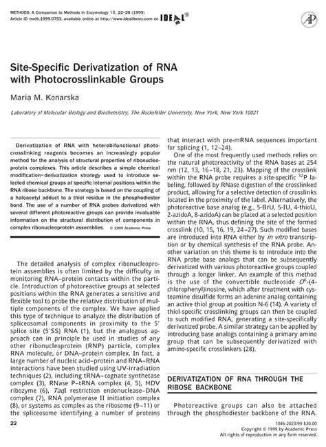 Pdf Site Specific Derivatization Of Rna With Photocrosslinkable Groups