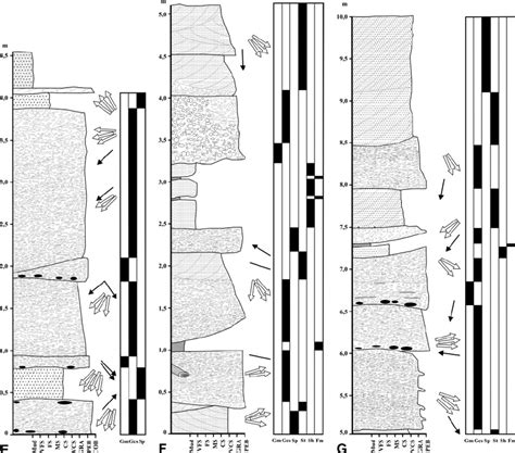 Schematic Lithostratigraphic Logs With Lithofacies Distribution Of