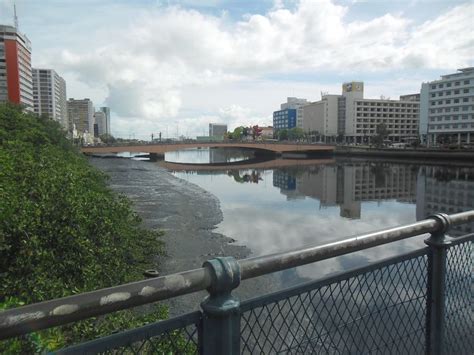 Ponte Duarte Coelho Recife Pe Brasil River Outdoor Water