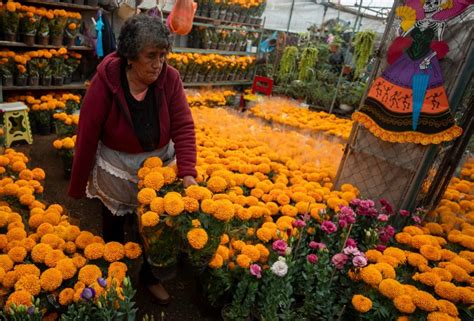 Dónde comprar flores de cempasúchil más baratas en CDMX