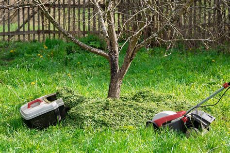 Comment Faire Du Paillage Avec Les R Sidus De Tonte Et Conomiser De L