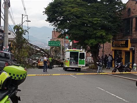 Video Calle 10A permanece cerrada por caída de un árbol