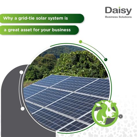 Why A Grid-tie Solar System Is A Great Asset For Your Business