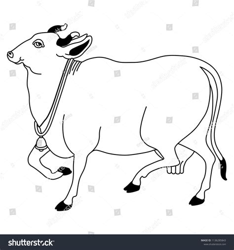 Isolated Vector Illustration Sacred Indian Cow Stock Vector (Royalty Free) 1136285843 | Shutterstock