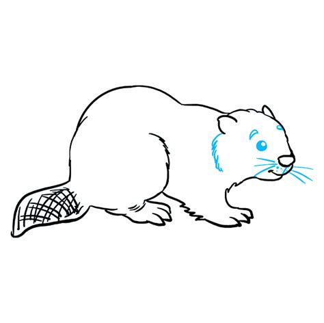 How to Draw a Beaver - Really Easy Drawing Tutorial