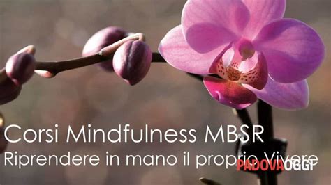 Presentazione Gratuita Del Corso Di Mindfulness MBSR Al Centro Motus