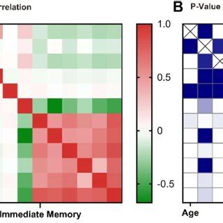 Heat Map Of Correlation Between Characteristics And Cognitive Score In