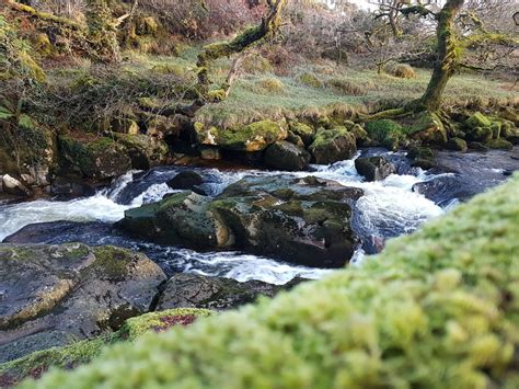 Exmoor River | Outdoor, Photography, River