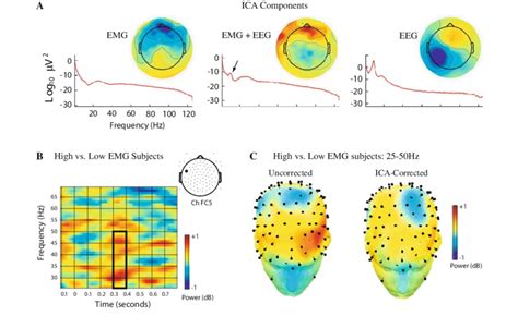 Ica Based Emg Correction A Power Spectra And Backprojected Scalp