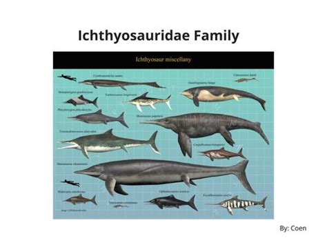 Book Creator | Ichthyosauridae Family