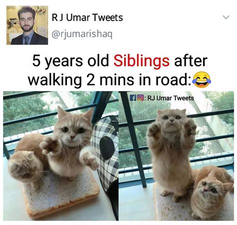 Pin By Rj Umar Tweets On Rj Umar Tweets Crazy Funny Memes Funny