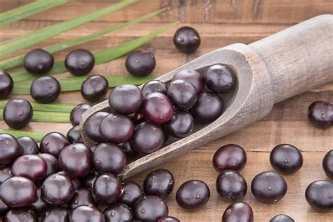 Ternyata Ini Manfaat Acai Berry Untuk Kesehatan Badan Yang Tidak