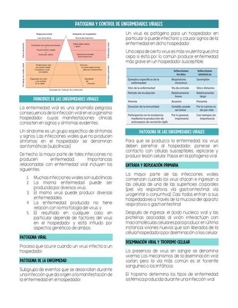 Resumen Patogenia Y Control De Las Enfermedades Virales Studymed Jm