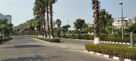 Residential Land Plot For Sale In Aerocity Mohali Sq Yard