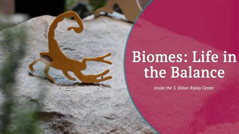 Biomes Life In Balance Smithsonian Gardens Habitat Exhibition Youtube