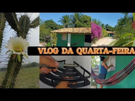 ROTINA DIARIA MUITO SERVIÇO ORGANIZAÇÃO VARIAS MUDANÇAS YouTube