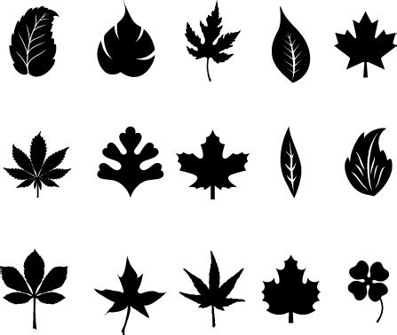 Black leaves vector Free Vector / 4Vector