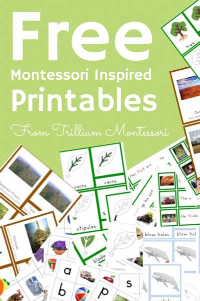 Join The Free Resource Library Trillium Montessori Montessori