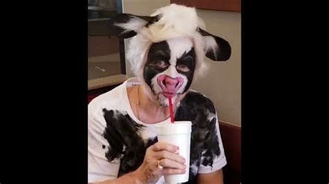 THIS COW SAYS EAT MORE CHICKEN AT CHICK FIL A YouTube